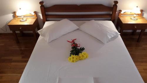 Delphi Greece Agoda.com fantastic hotel promo code