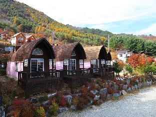 Pyeongchang-gun South Korea Agoda.com fantastic hotel promo code