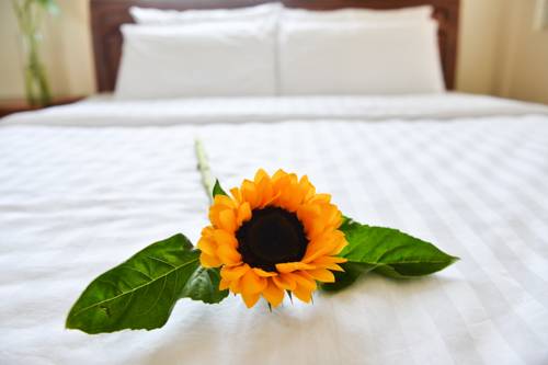 Da Nang Vietnam Code promo fantastique pour Booking.com hôtel