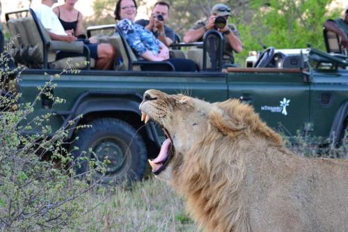 Kruger National Park South Africa Agoda.com fantastic hotel promo code