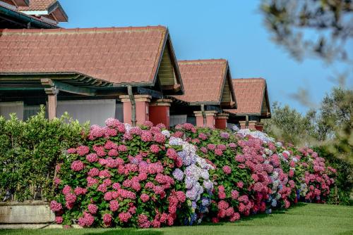 Montalto di Castro Italy Agoda.com fantastic hotel promo code