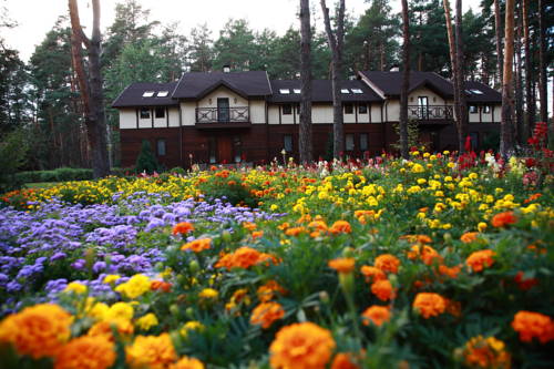 Irpin Ukraine Code promo fantastique pour Booking.com hôtel