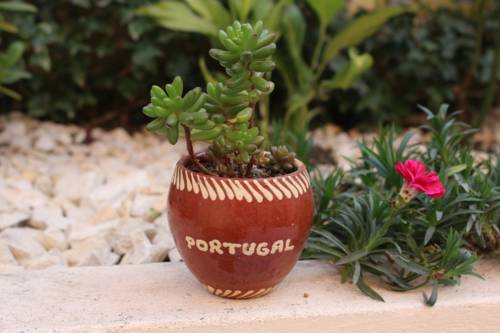 Aveiro Portugal Booking.com fantastic hotel promo code